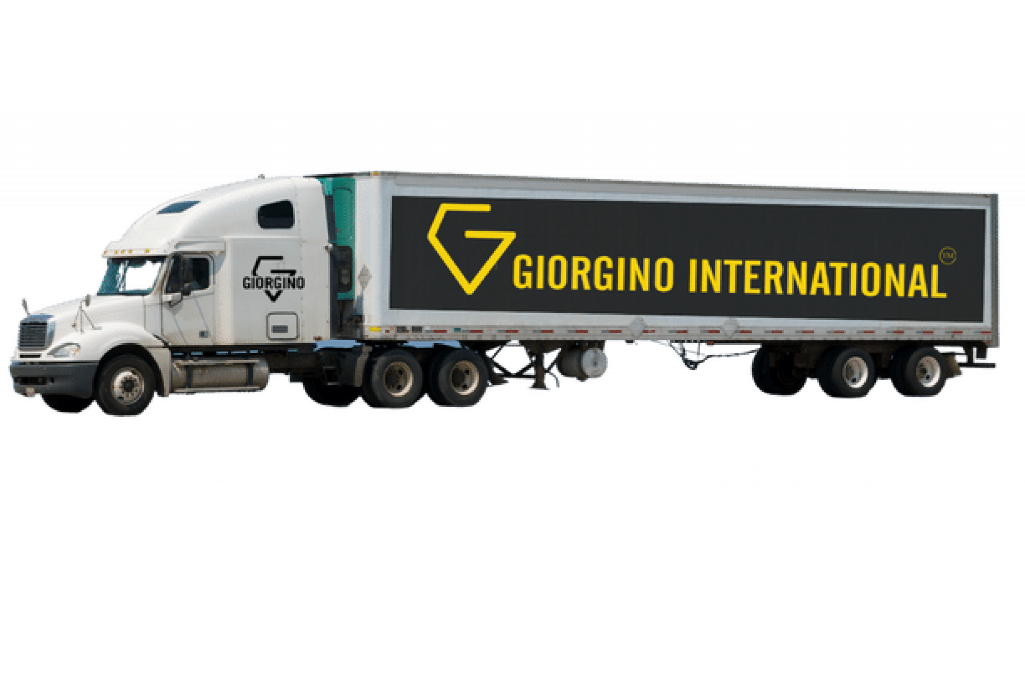 International Highest quality leather gloves distributer in