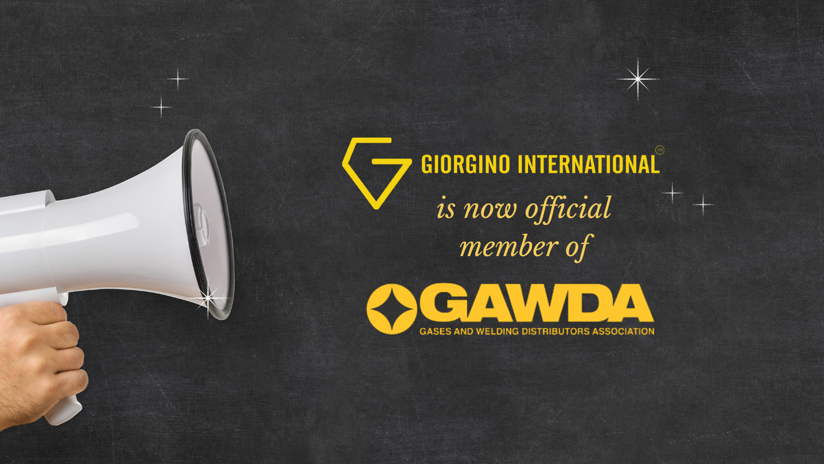 International Highest quality leather gloves distributer in